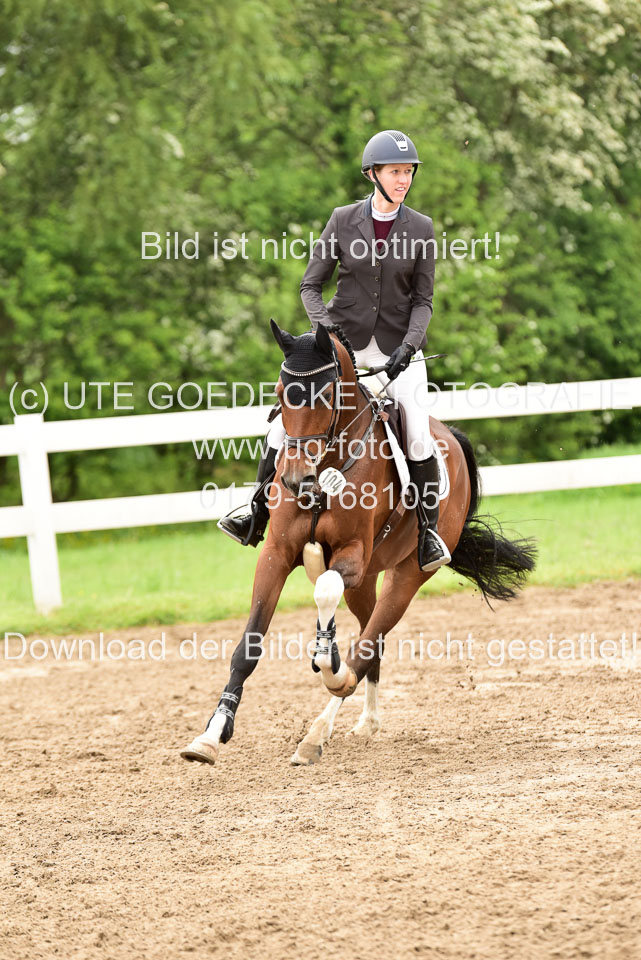 260520-Springpferde-A-_076.jpg