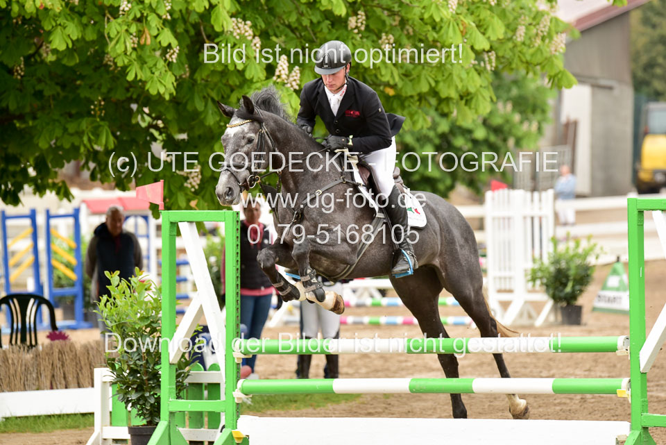 260520-Springpferde-A-_077.jpg