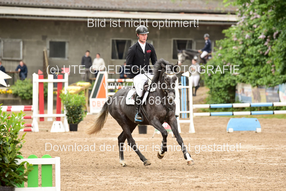 260520-Springpferde-A-_078.jpg