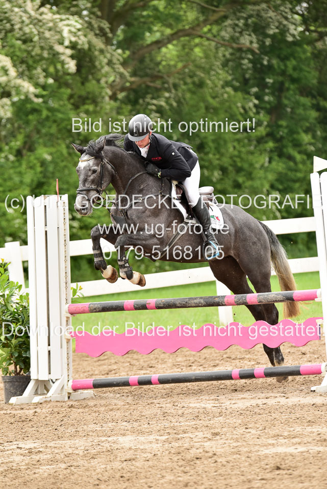 260520-Springpferde-A-_080.jpg