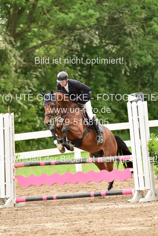 260520-Springpferde-A-_083.jpg