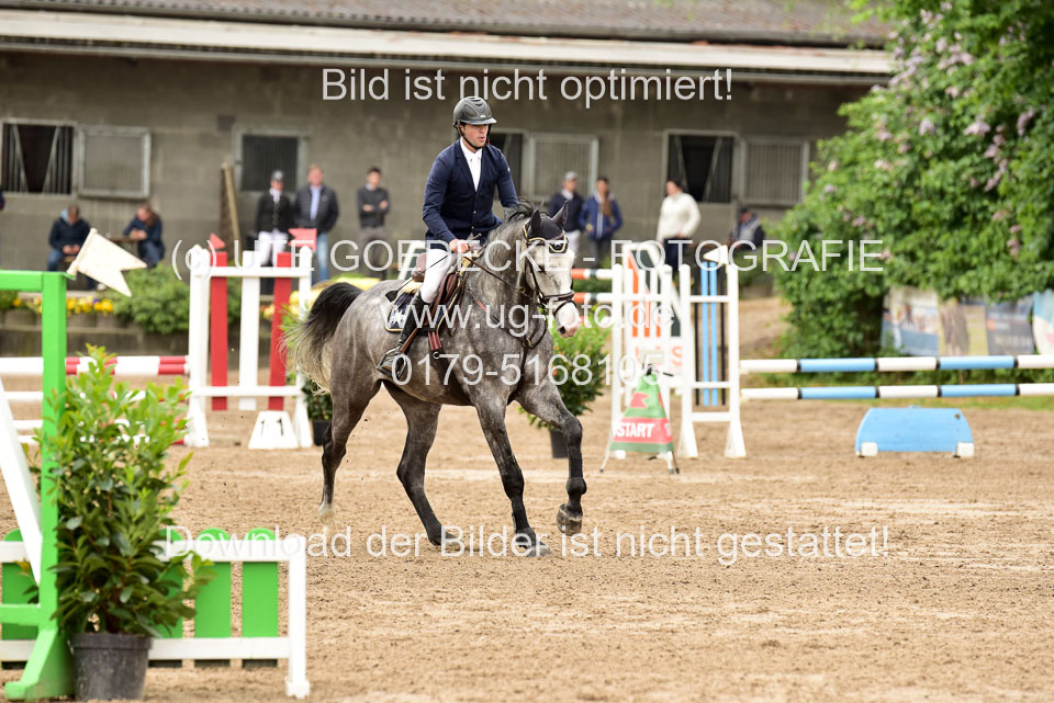 260520-Springpferde-A-_085.jpg