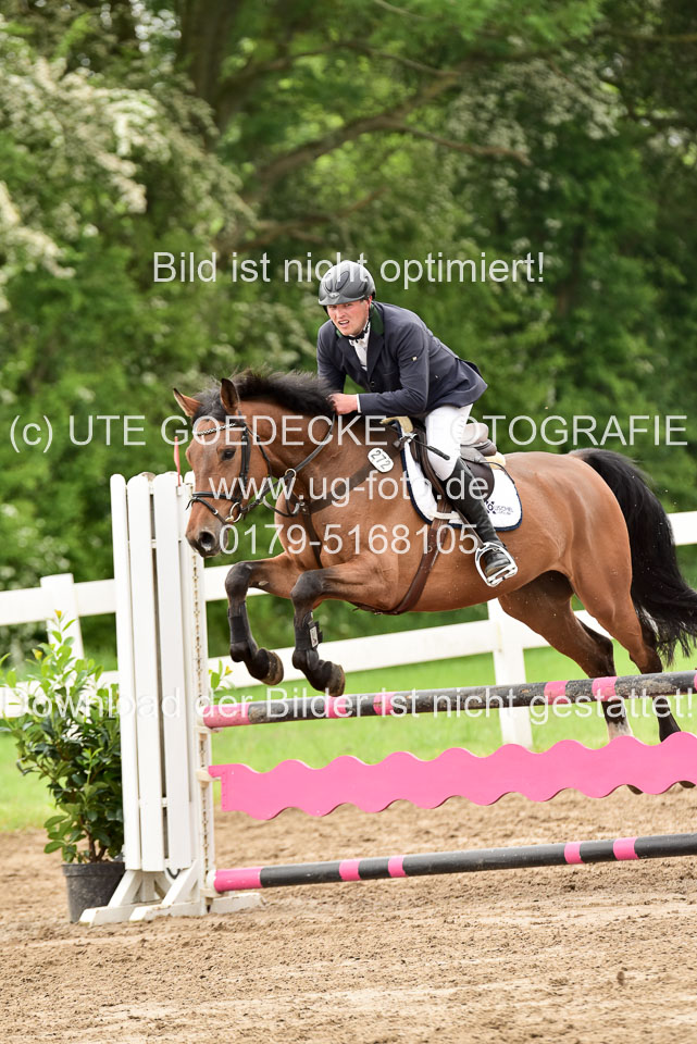 260520-Springpferde-A-_091.jpg