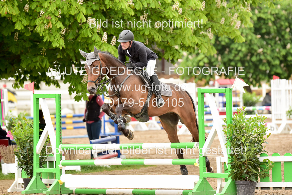 260520-Springpferde-A-_092.jpg