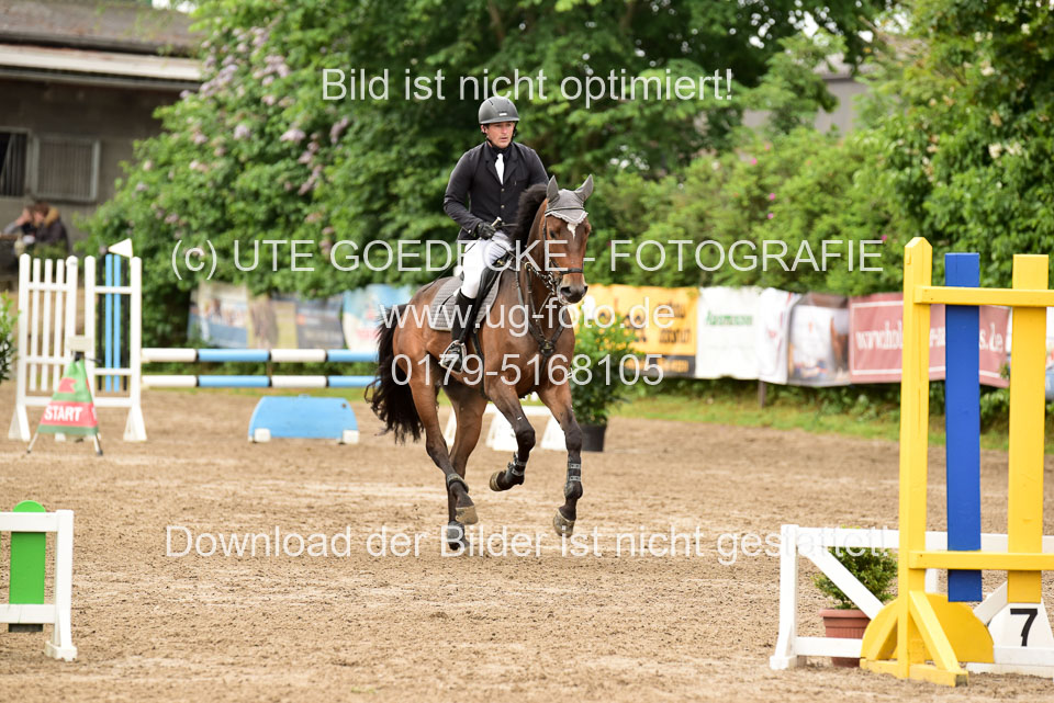 260520-Springpferde-A-_093.jpg