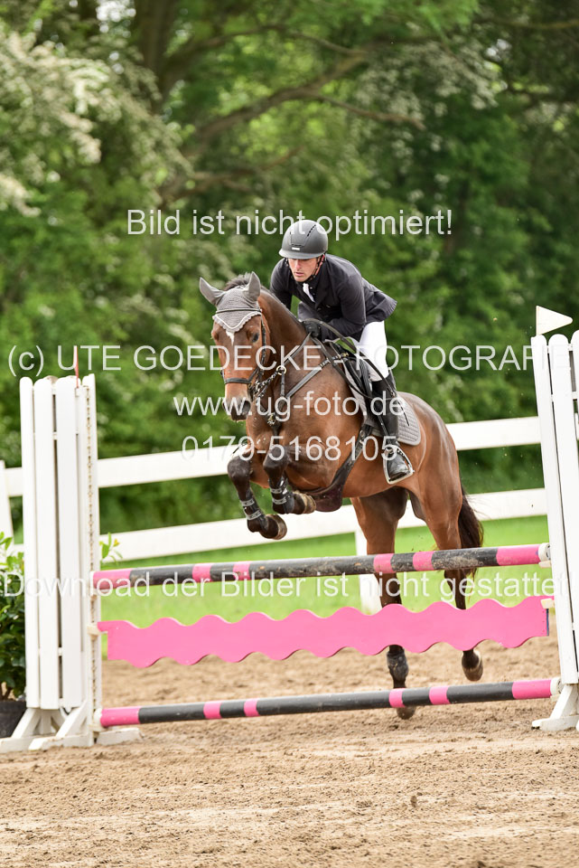 260520-Springpferde-A-_095.jpg