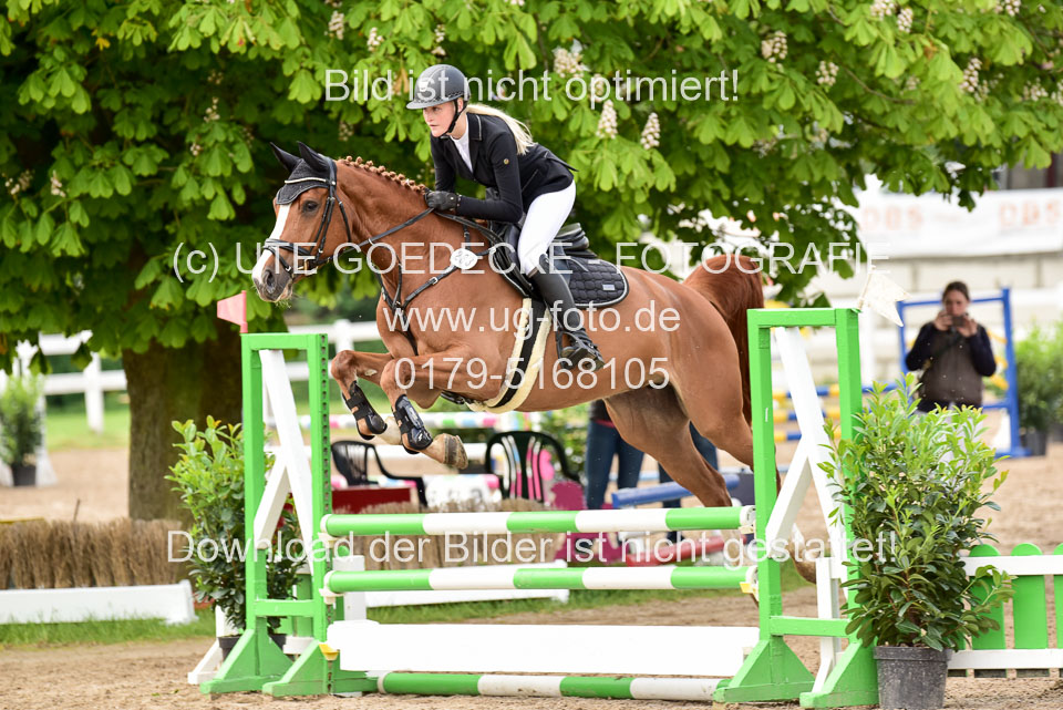 260520-Springpferde-A-_097.jpg