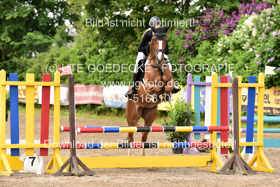 260520-Springpferde-A-_098.jpg