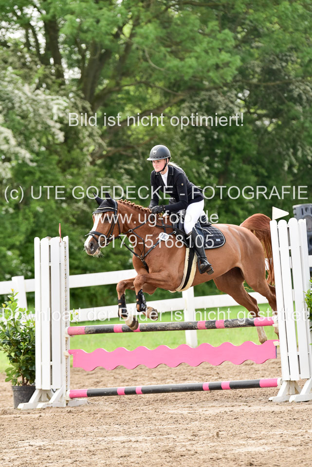 260520-Springpferde-A-_099.jpg