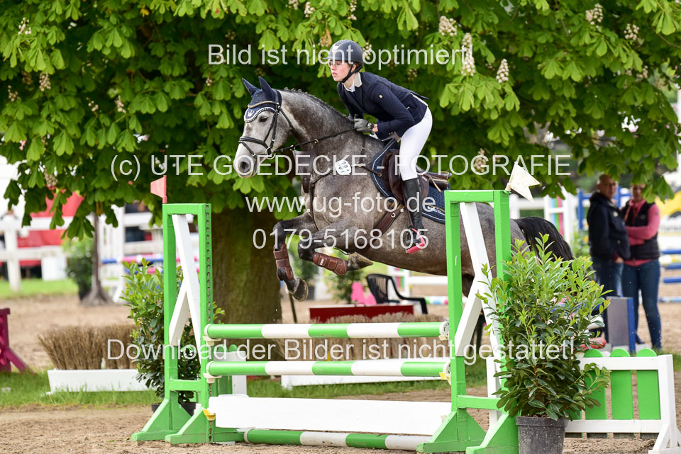 260520-Springpferde-A-_100.jpg