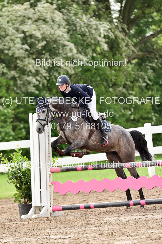 260520-Springpferde-A-_101.jpg