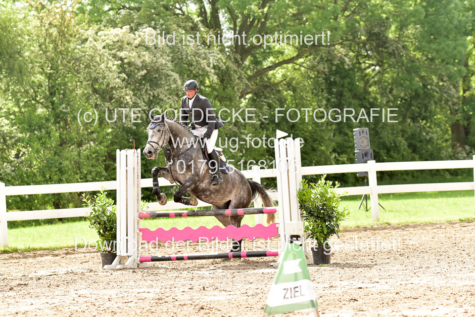 260520-Springpferde-A-_103.jpg