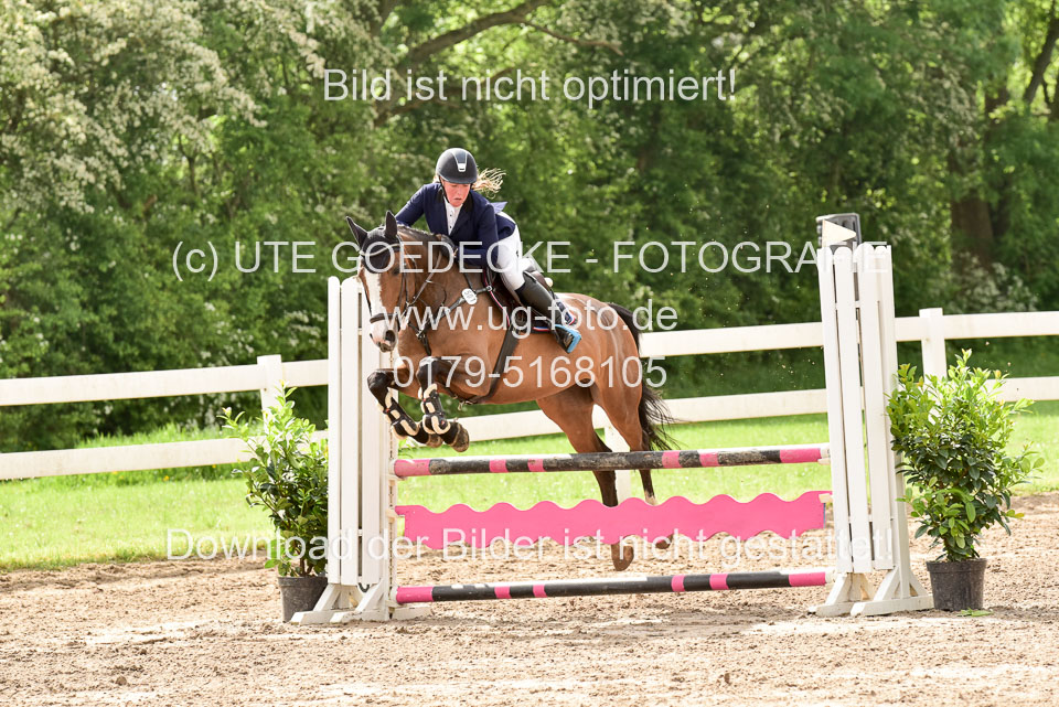 260520-Springpferde-A-_105.jpg