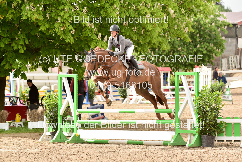 260520-Springpferde-A-_106.jpg