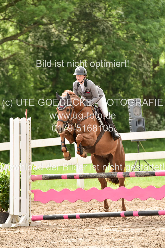 260520-Springpferde-A-_108.jpg