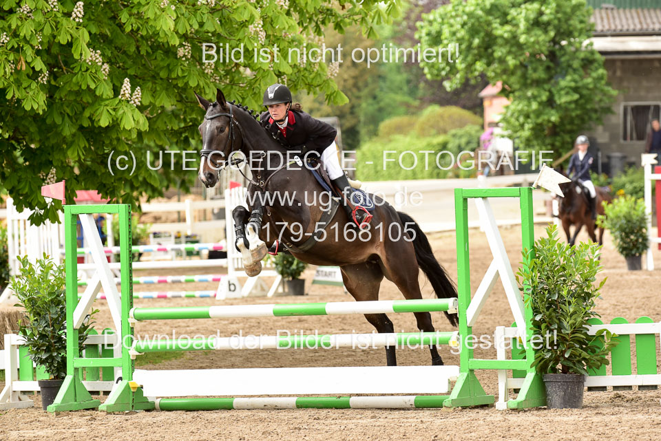 260520-Springpferde-A-_111.jpg