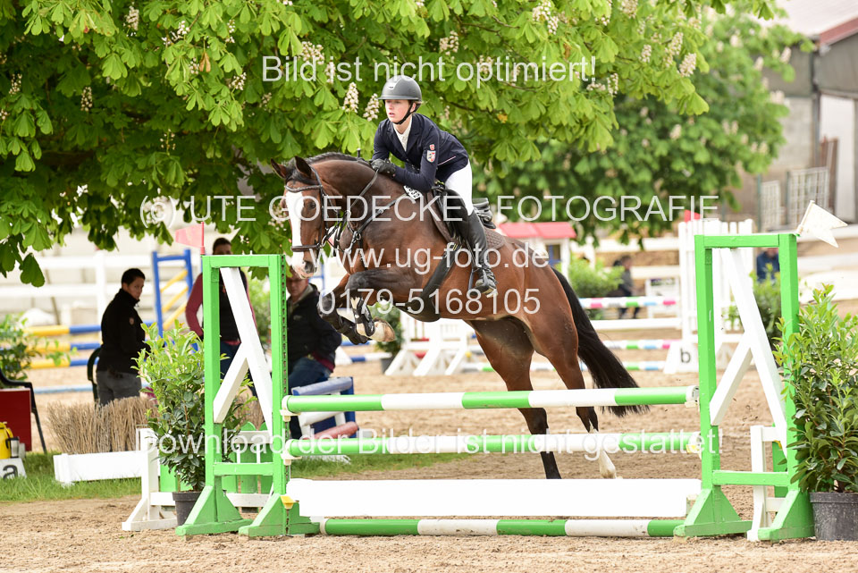 260520-Springpferde-A-_113.jpg