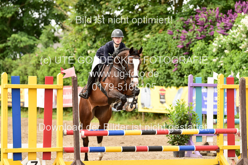 260520-Springpferde-A-_114.jpg