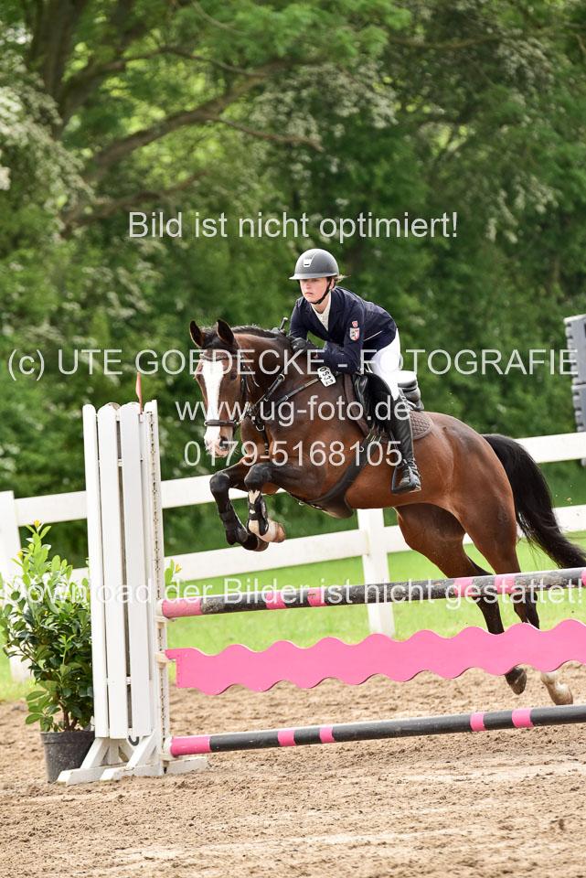 260520-Springpferde-A-_115.jpg
