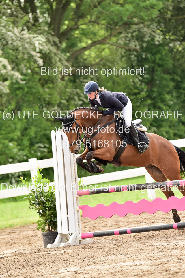 260520-Springpferde-A-_118.jpg