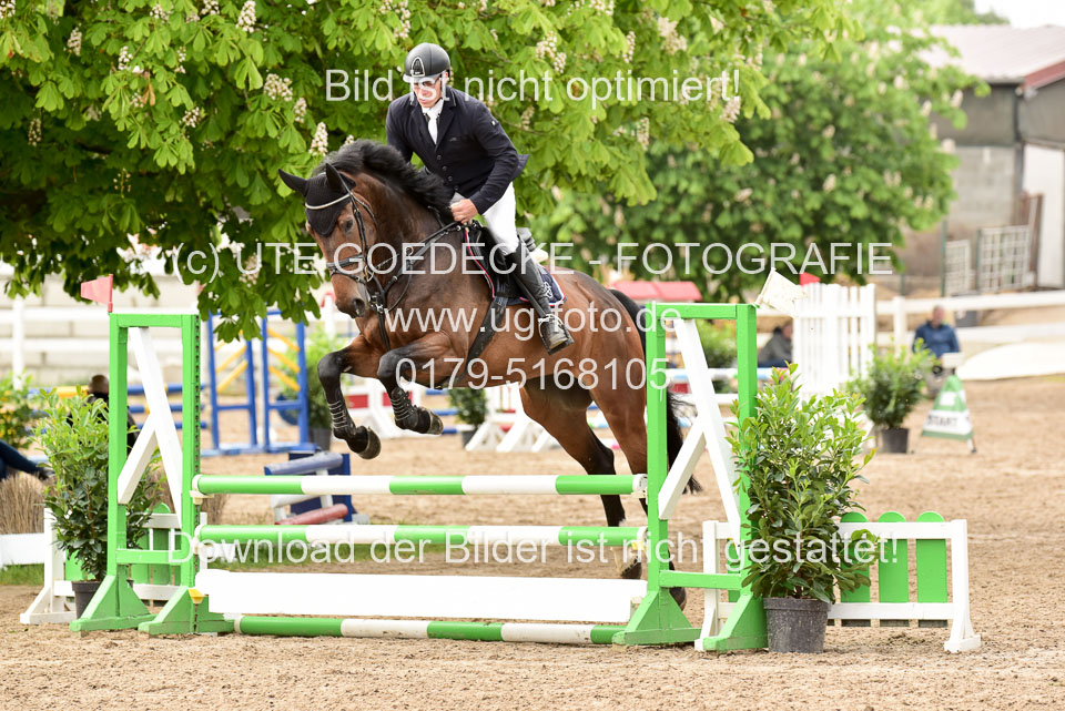 260520-Springpferde-A-_119.jpg