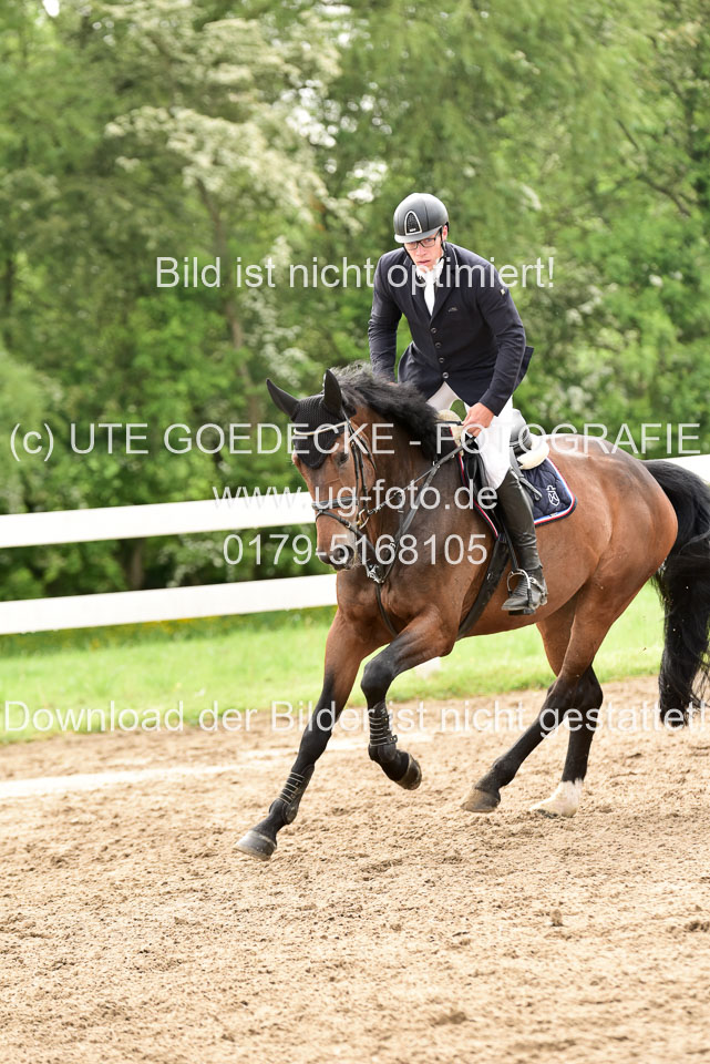 260520-Springpferde-A-_121.jpg