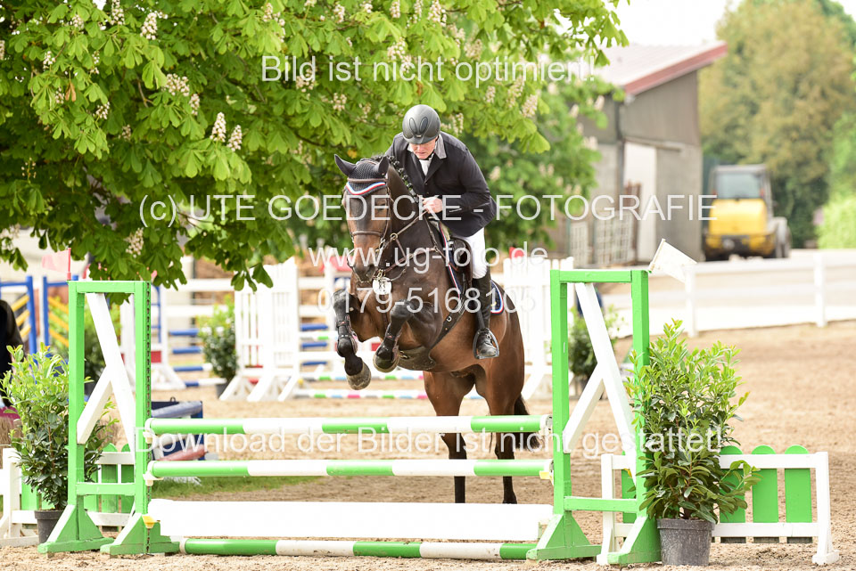 260520-Springpferde-A-_122.jpg