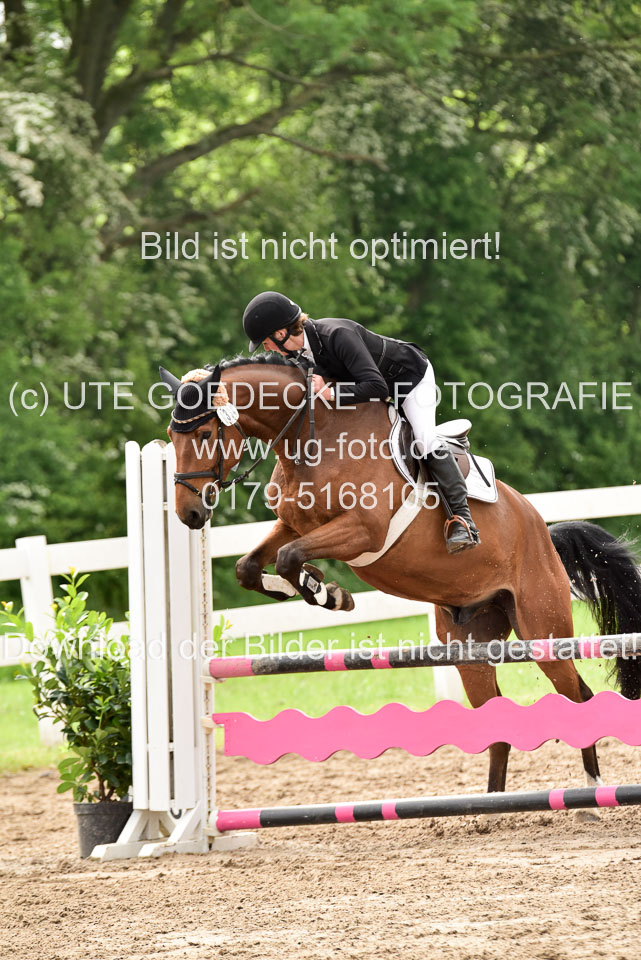 260520-Springpferde-A-_127.jpg