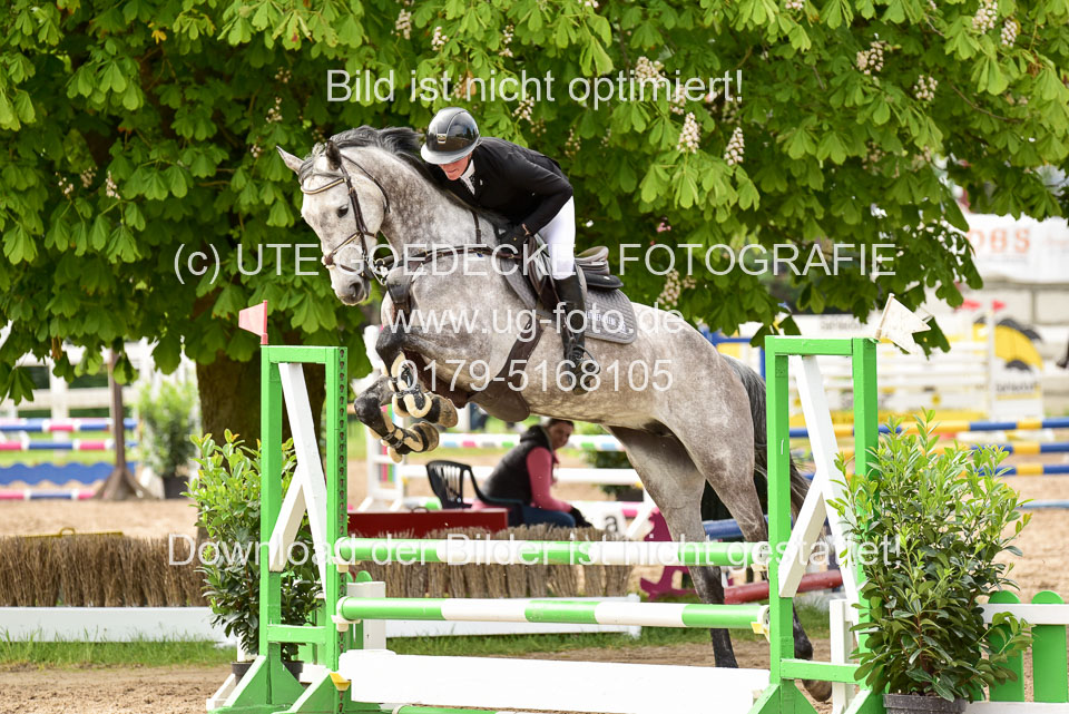 260520-Springpferde-A-_128.jpg
