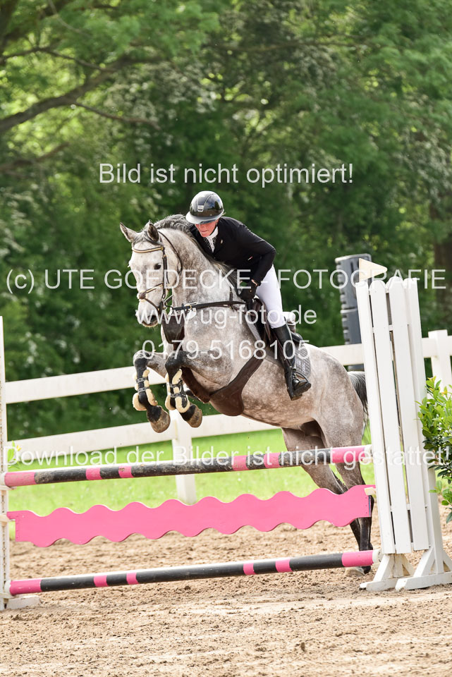 260520-Springpferde-A-_130.jpg