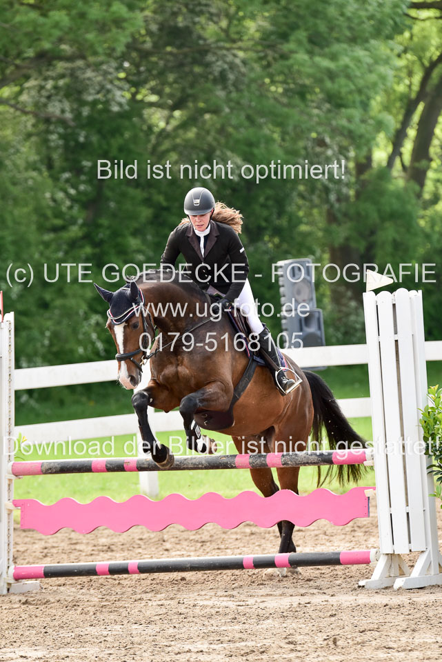 260520-Springpferde-A-_132.jpg