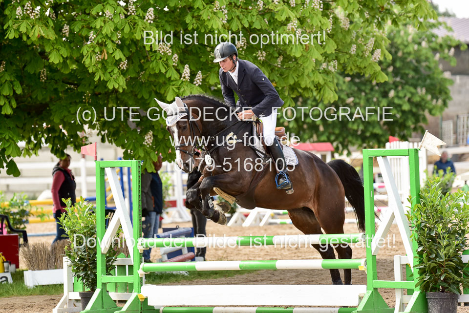 260520-Springpferde-A-_133.jpg