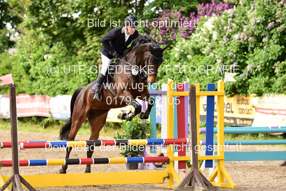 260520-Springpferde-A-_137.jpg