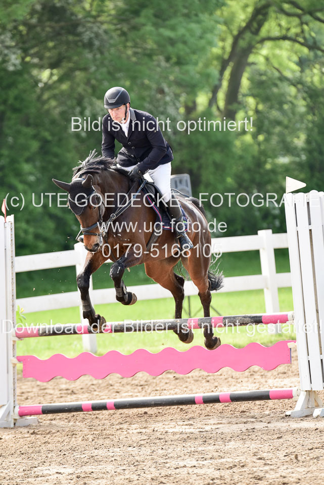 260520-Springpferde-A-_138.jpg