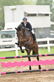 260520-Springpferde-A-_001.jpg