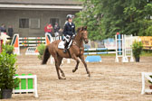 260520-Springpferde-A-_007.jpg