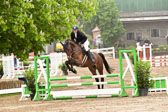 260520-Springpferde-A-_010.jpg