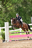 260520-Springpferde-A-_115.jpg