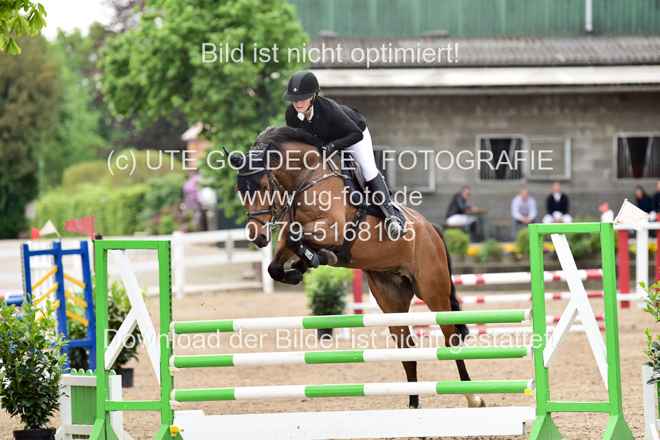 260520-Springpferde-L-_001.jpg