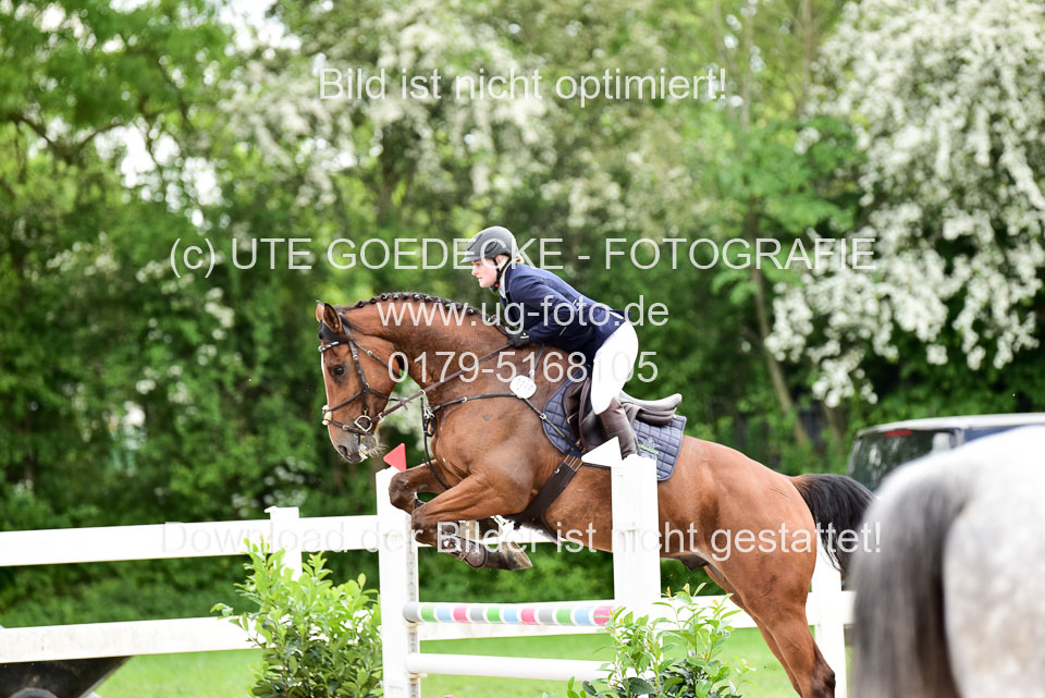 260520-Springpferde-L-_049.jpg