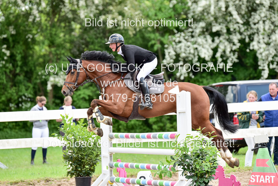 260520-Springpferde-L-_103.jpg