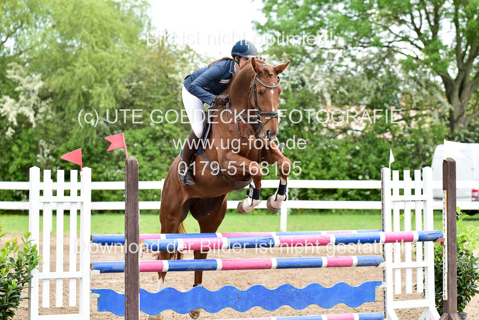 260520-Springpferde-L-_107.jpg