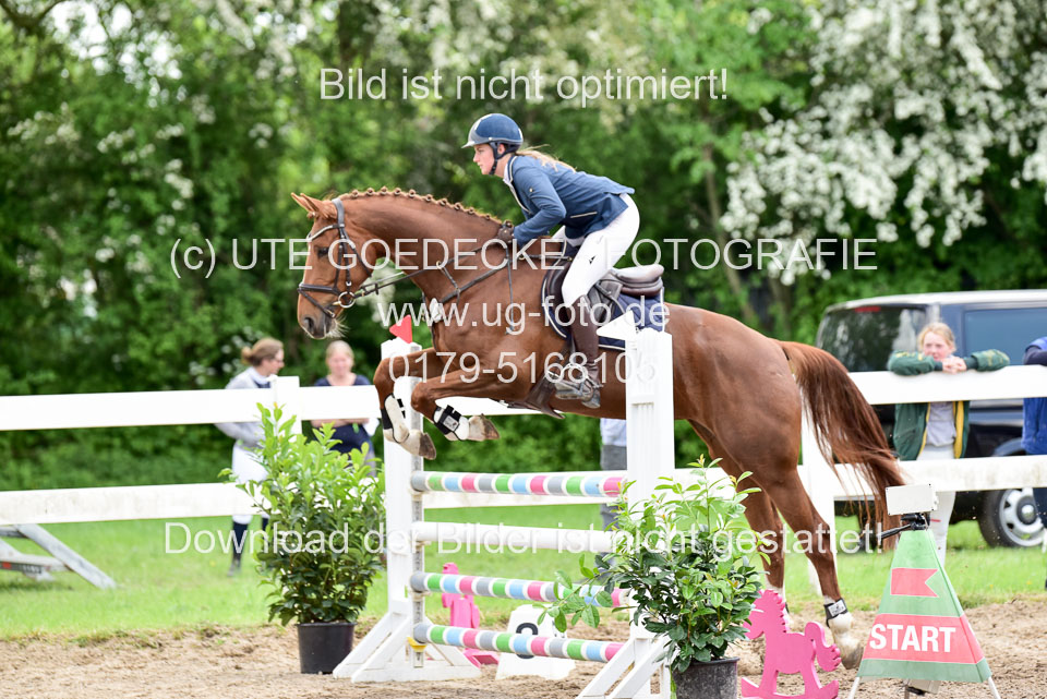 260520-Springpferde-L-_108.jpg