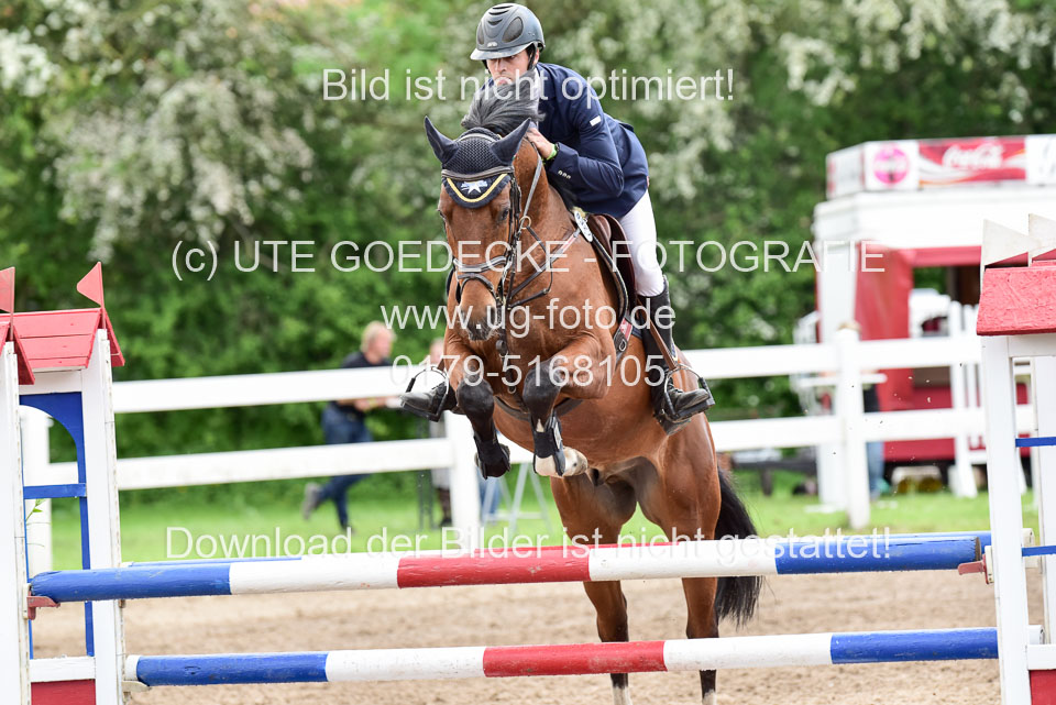 260520-Springpferde-L-_109.jpg