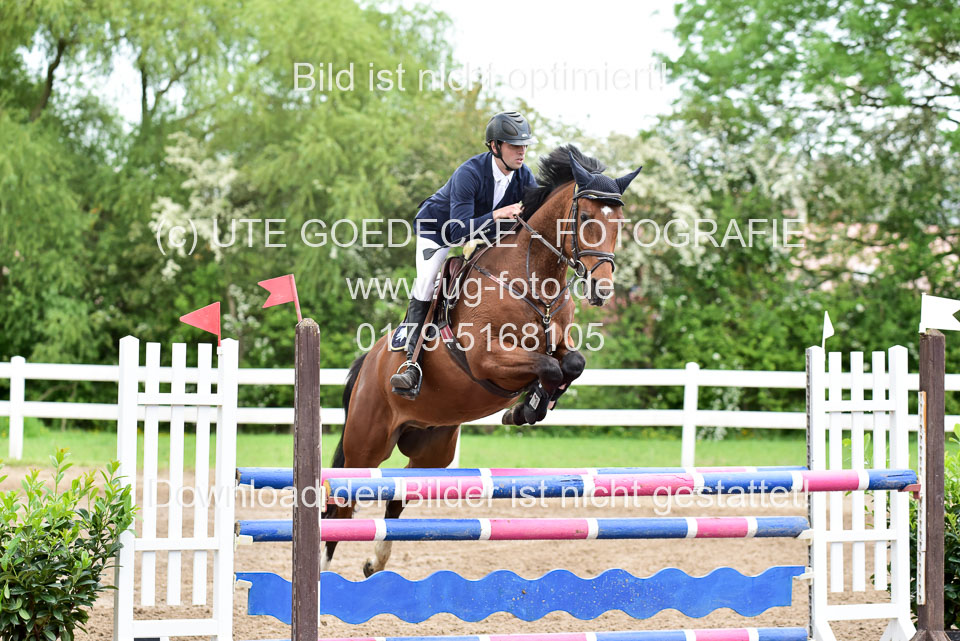 260520-Springpferde-L-_112.jpg