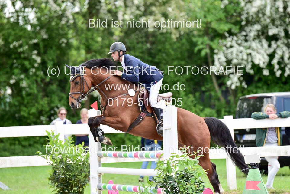 260520-Springpferde-L-_113.jpg