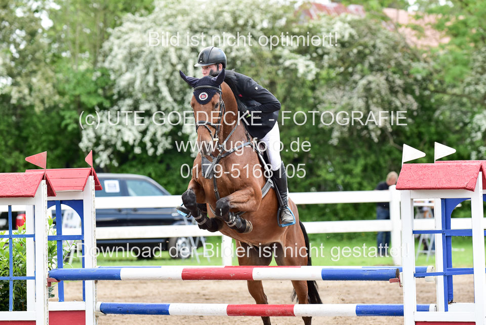 260520-Springpferde-L-_114.jpg