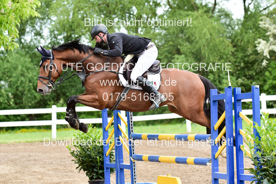 260520-Springpferde-L-_116.jpg