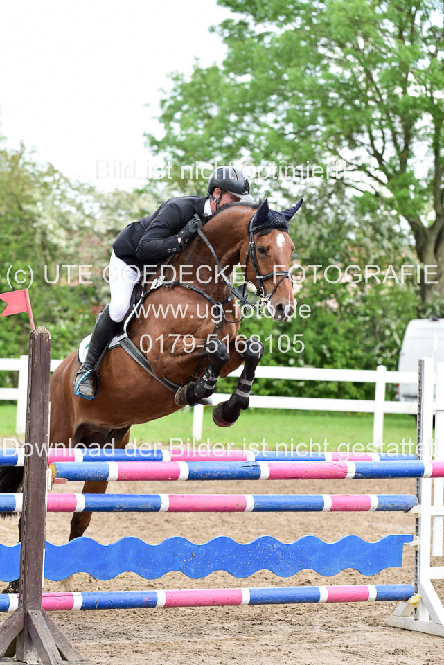 260520-Springpferde-L-_117.jpg