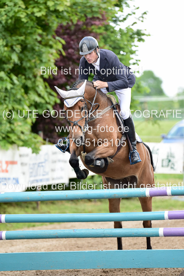 260520-Springpferde-L-_118.jpg